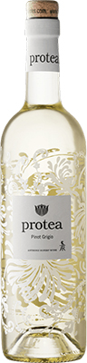 PINOT GRIGIO - ANTHONIJ RUPERT PROTEA
