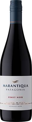 PINOT NOIR - MARANTIQUA